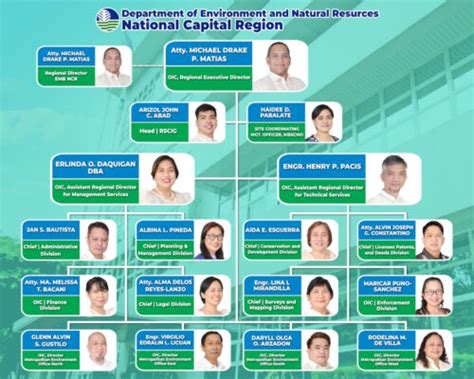 denr region 3 organizational chart